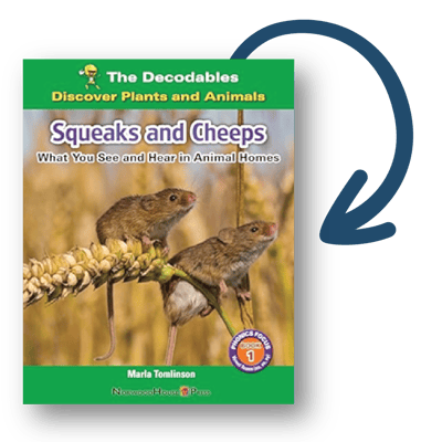 2025 Redesign FUNDATIONS LP-06 2025 Redesign FUNDATIONS LP-06